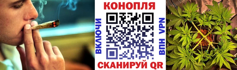 Бошки марихуана Amnesia Плавск